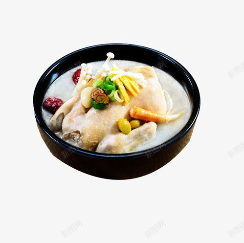 美食設(shè)計(jì)新焦點(diǎn) 老母雞湯免摳PNG素材，賦能餐飲與電商創(chuàng)意